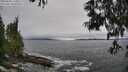 ./images/koeye/fitz-hugh/20250603/fitz-hugh20250603_170012M.jpg