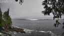 ./images/koeye/fitz-hugh/20250603/fitz-hugh20250603_170510M.jpg