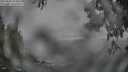 ./images/koeye/fitz-hugh/20250603/fitz-hugh20250603_184510M.jpg