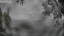 ./images/koeye/fitz-hugh/20250603/fitz-hugh20250603_185010M.jpg