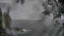 ./images/koeye/fitz-hugh/20250603/fitz-hugh20250603_185510M.jpg