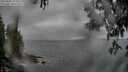 ./images/koeye/fitz-hugh/20250603/fitz-hugh20250603_191009M.jpg