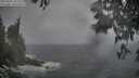 ./images/koeye/fitz-hugh/20250603/fitz-hugh20250603_195507M.jpg