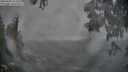 ./images/koeye/fitz-hugh/20250603/fitz-hugh20250603_202509M.jpg