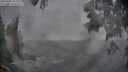 ./images/koeye/fitz-hugh/20250603/fitz-hugh20250603_203507M.jpg