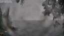 ./images/koeye/fitz-hugh/20250603/fitz-hugh20250603_204009M.jpg