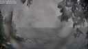 ./images/koeye/fitz-hugh/20250603/fitz-hugh20250603_204509M.jpg