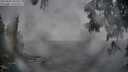 ./images/koeye/fitz-hugh/20250603/fitz-hugh20250603_205508M.jpg