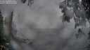 ./images/koeye/fitz-hugh/20250603/fitz-hugh20250603_210009M.jpg