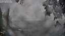 ./images/koeye/fitz-hugh/20250603/fitz-hugh20250603_210509M.jpg