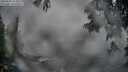 ./images/koeye/fitz-hugh/20250603/fitz-hugh20250603_212509M.jpg
