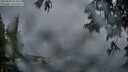 ./images/koeye/fitz-hugh/20250603/fitz-hugh20250603_214009M.jpg