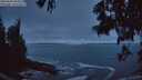 ./images/koeye/fitz-hugh/20250604/fitz-hugh20250604_044009M.jpg