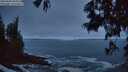 ./images/koeye/fitz-hugh/20250604/fitz-hugh20250604_044509M.jpg