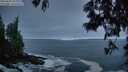./images/koeye/fitz-hugh/20250604/fitz-hugh20250604_045509M.jpg