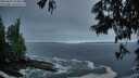 ./images/koeye/fitz-hugh/20250604/fitz-hugh20250604_050009M.jpg