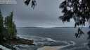 ./images/koeye/fitz-hugh/20250604/fitz-hugh20250604_050508M.jpg