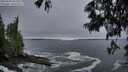 ./images/koeye/fitz-hugh/20250604/fitz-hugh20250604_052009M.jpg