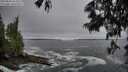 ./images/koeye/fitz-hugh/20250604/fitz-hugh20250604_053509M.jpg