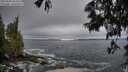 ./images/koeye/fitz-hugh/20250604/fitz-hugh20250604_064010M.jpg