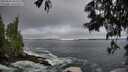 ./images/koeye/fitz-hugh/20250604/fitz-hugh20250604_064510M.jpg