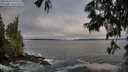 ./images/koeye/fitz-hugh/20250604/fitz-hugh20250604_070509M.jpg