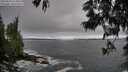 ./images/koeye/fitz-hugh/20250604/fitz-hugh20250604_074010M.jpg