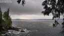 ./images/koeye/fitz-hugh/20250604/fitz-hugh20250604_075510M.jpg