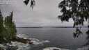 ./images/koeye/fitz-hugh/20250604/fitz-hugh20250604_082509M.jpg