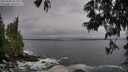 ./images/koeye/fitz-hugh/20250604/fitz-hugh20250604_083510M.jpg