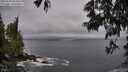 ./images/koeye/fitz-hugh/20250604/fitz-hugh20250604_085011M.jpg