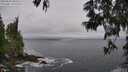 ./images/koeye/fitz-hugh/20250604/fitz-hugh20250604_085507M.jpg