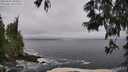 ./images/koeye/fitz-hugh/20250604/fitz-hugh20250604_090012M.jpg