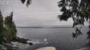 ./images/koeye/fitz-hugh/20250604/fitz-hugh20250604_091510M.jpg