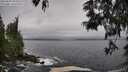 ./images/koeye/fitz-hugh/20250604/fitz-hugh20250604_092010M.jpg