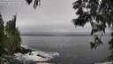 ./images/koeye/fitz-hugh/20250604/fitz-hugh20250604_092510M.jpg