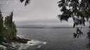 ./images/koeye/fitz-hugh/20250604/fitz-hugh20250604_093011M.jpg