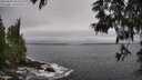 ./images/koeye/fitz-hugh/20250604/fitz-hugh20250604_093510M.jpg