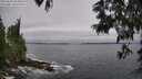 ./images/koeye/fitz-hugh/20250604/fitz-hugh20250604_094011M.jpg