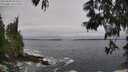 ./images/koeye/fitz-hugh/20250604/fitz-hugh20250604_094511M.jpg