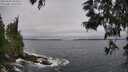./images/koeye/fitz-hugh/20250604/fitz-hugh20250604_095011M.jpg