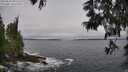 ./images/koeye/fitz-hugh/20250604/fitz-hugh20250604_095510M.jpg
