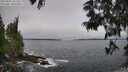 ./images/koeye/fitz-hugh/20250604/fitz-hugh20250604_101507M.jpg