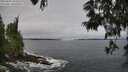 ./images/koeye/fitz-hugh/20250604/fitz-hugh20250604_102510M.jpg