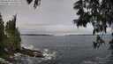 ./images/koeye/fitz-hugh/20250604/fitz-hugh20250604_103011M.jpg
