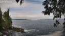 ./images/koeye/fitz-hugh/20250604/fitz-hugh20250604_104010M.jpg