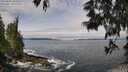 ./images/koeye/fitz-hugh/20250604/fitz-hugh20250604_105010M.jpg