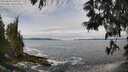 ./images/koeye/fitz-hugh/20250604/fitz-hugh20250604_105510M.jpg