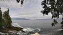 ./images/koeye/fitz-hugh/20250604/fitz-hugh20250604_110012M.jpg