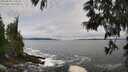 ./images/koeye/fitz-hugh/20250604/fitz-hugh20250604_110510M.jpg